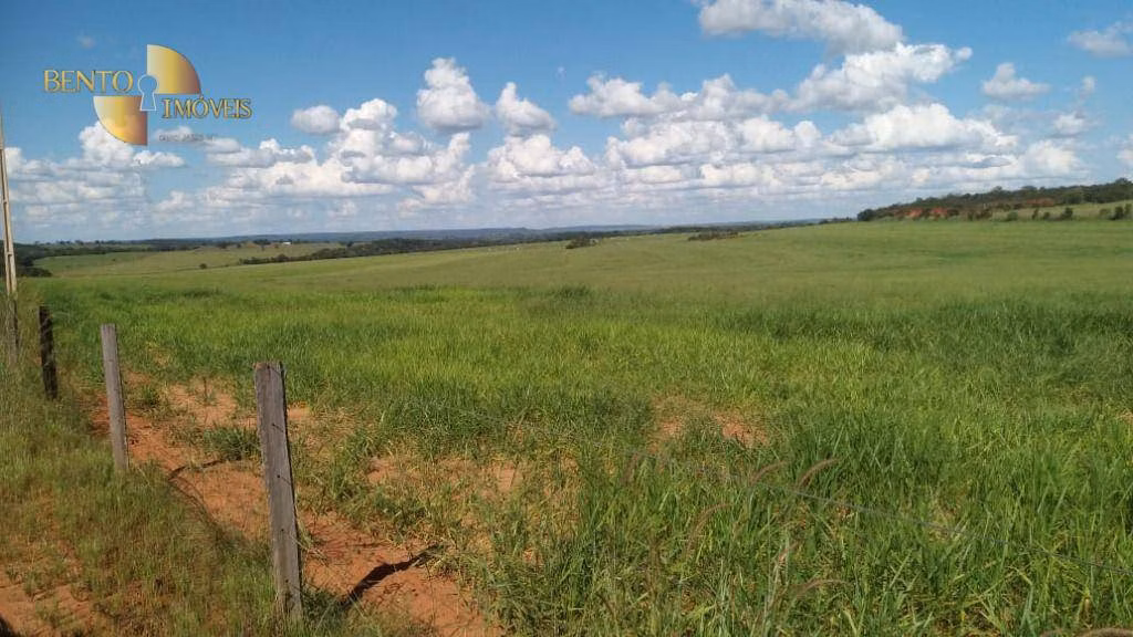 Fazenda de 1.700 ha em Santa Rita do Trivelato, MT