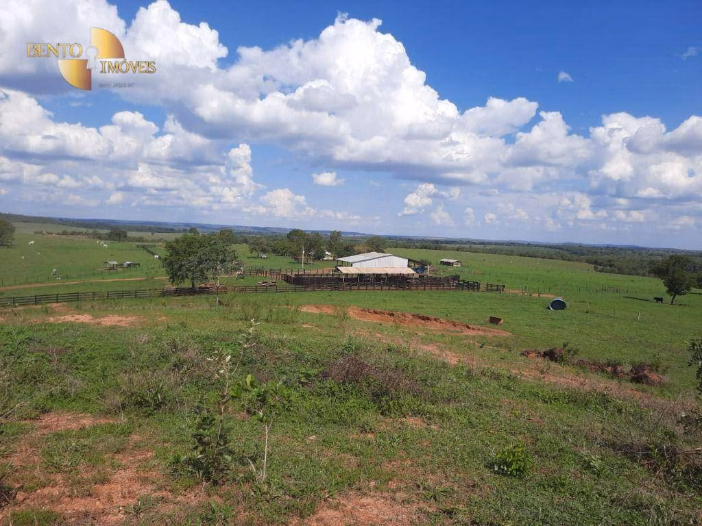 Fazenda de 1.700 ha em Santa Rita do Trivelato, MT