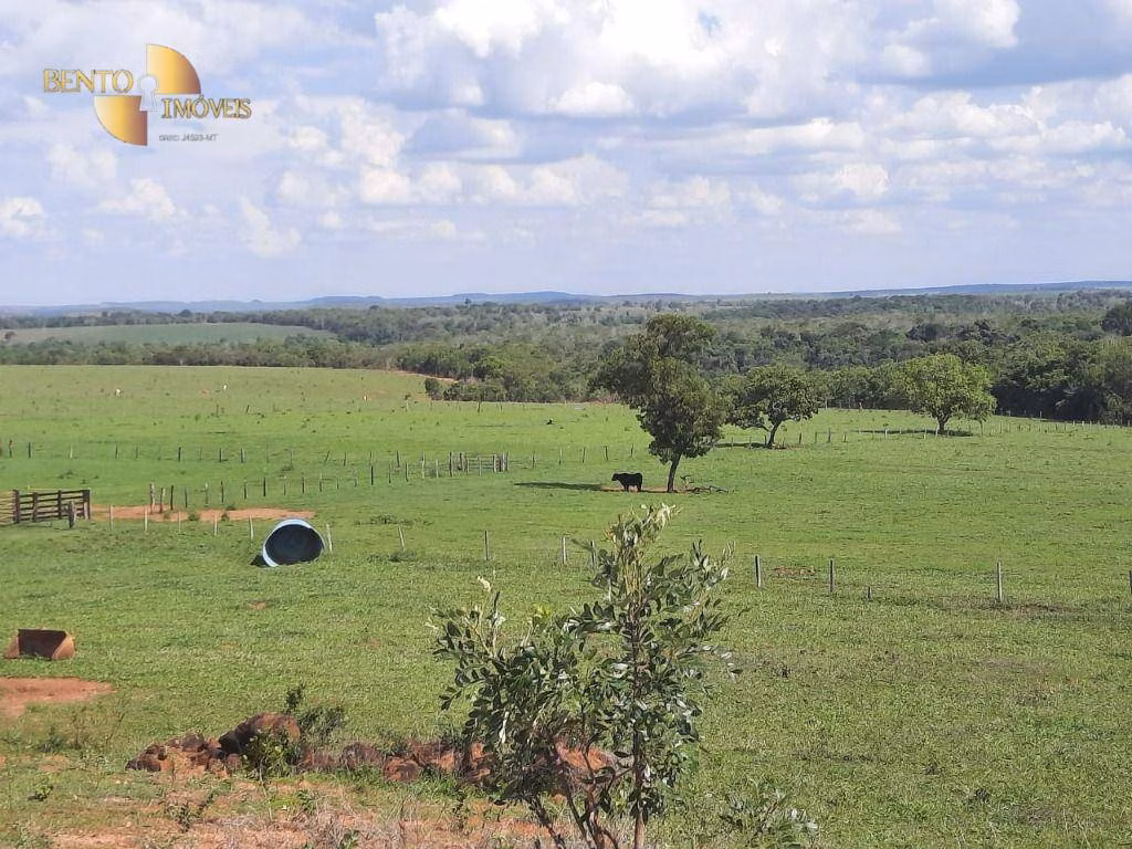 Fazenda de 1.700 ha em Santa Rita do Trivelato, MT