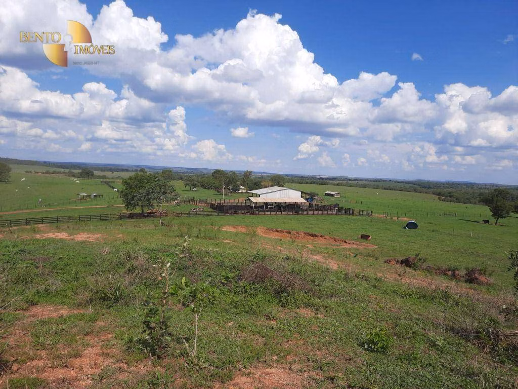 Fazenda de 1.700 ha em Santa Rita do Trivelato, MT