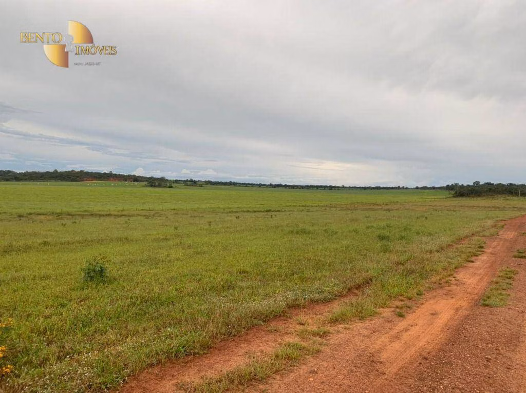 Fazenda de 1.700 ha em Santa Rita do Trivelato, MT