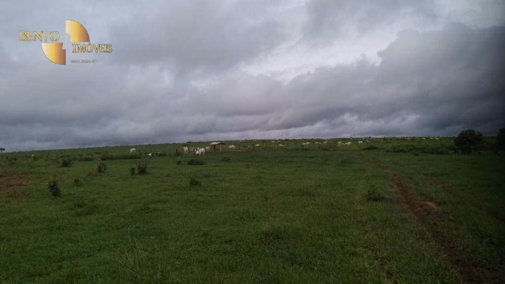 Fazenda de 1.700 ha em Santa Rita do Trivelato, MT