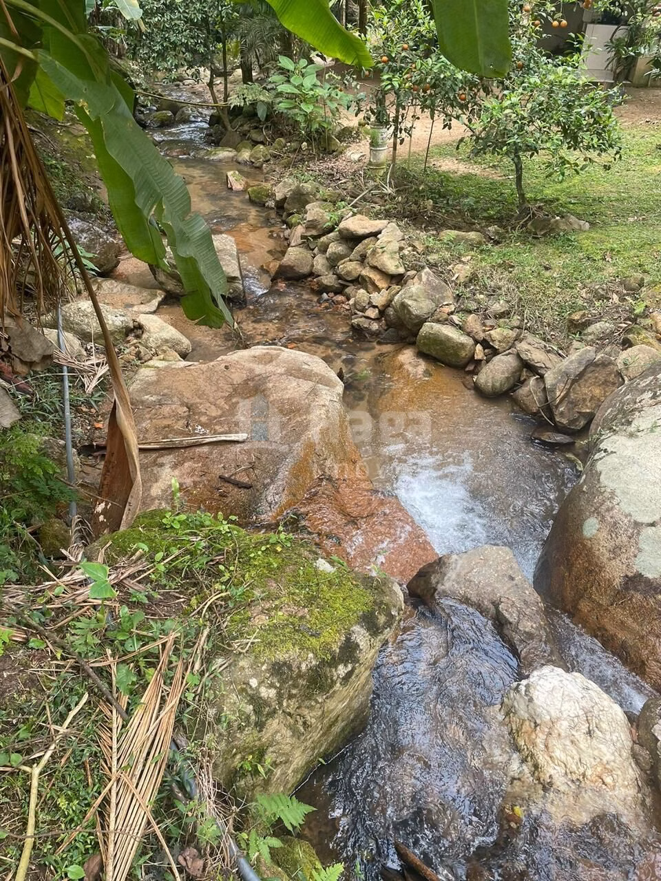 Farm of 2 acres in São João Batista, SC, Brazil