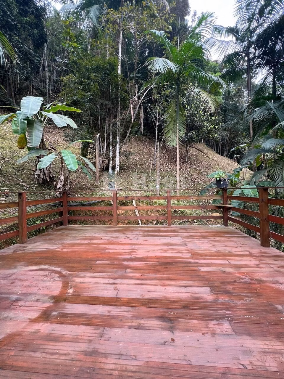 Farm of 2 acres in São João Batista, SC, Brazil
