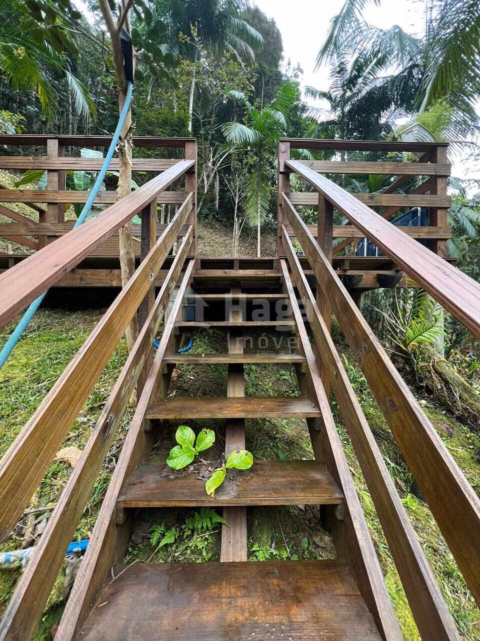 Farm of 2 acres in São João Batista, SC, Brazil