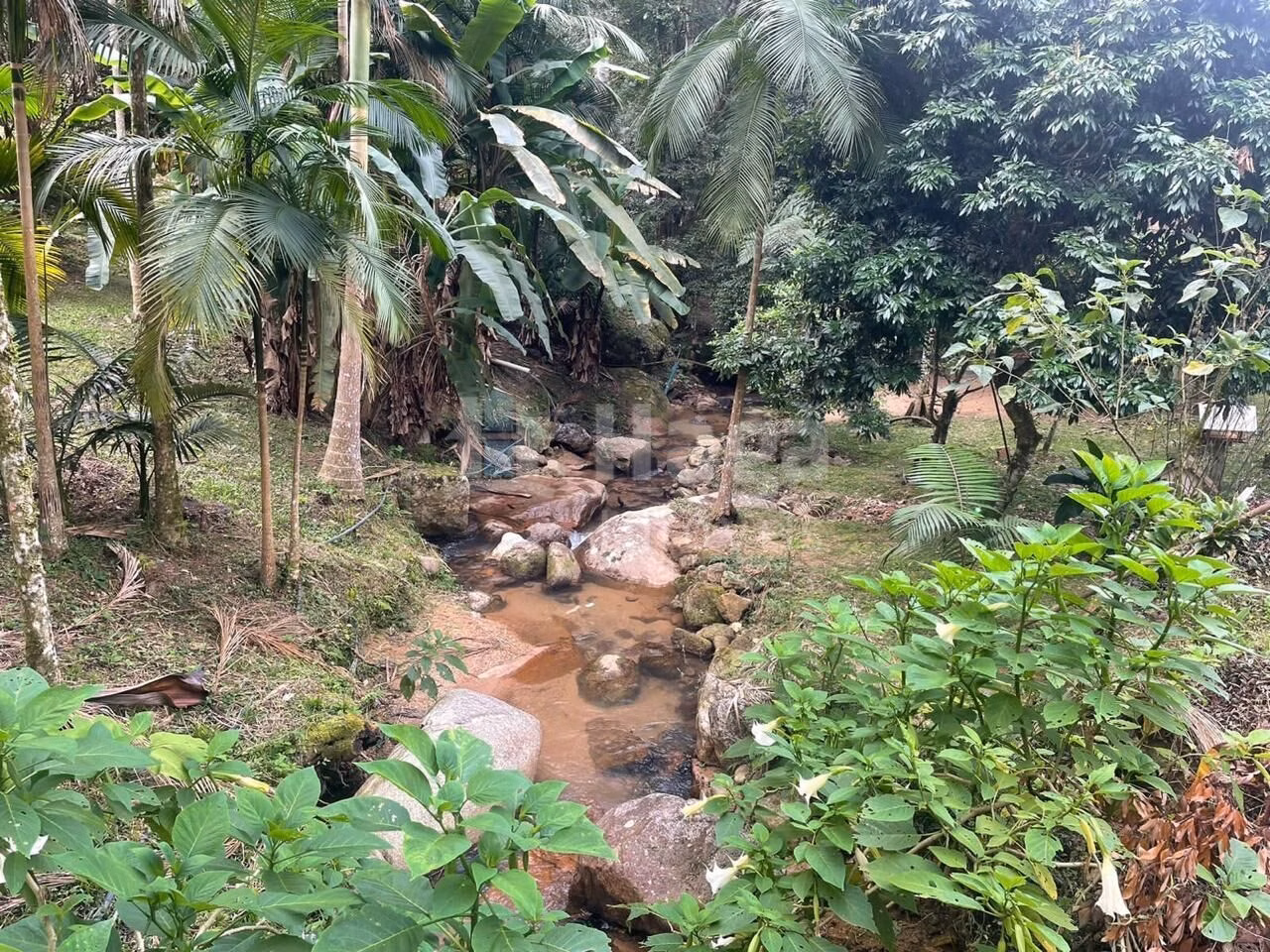 Farm of 2 acres in São João Batista, SC, Brazil