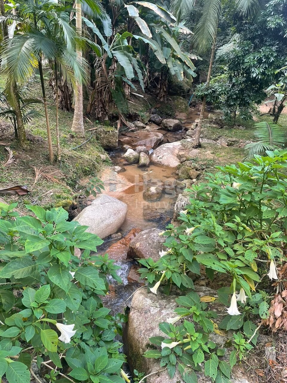 Farm of 2 acres in São João Batista, SC, Brazil