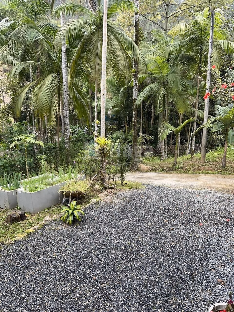 Farm of 2 acres in São João Batista, SC, Brazil