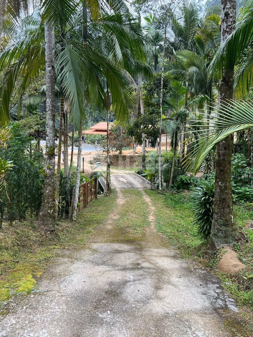 Farm of 2 acres in São João Batista, SC, Brazil