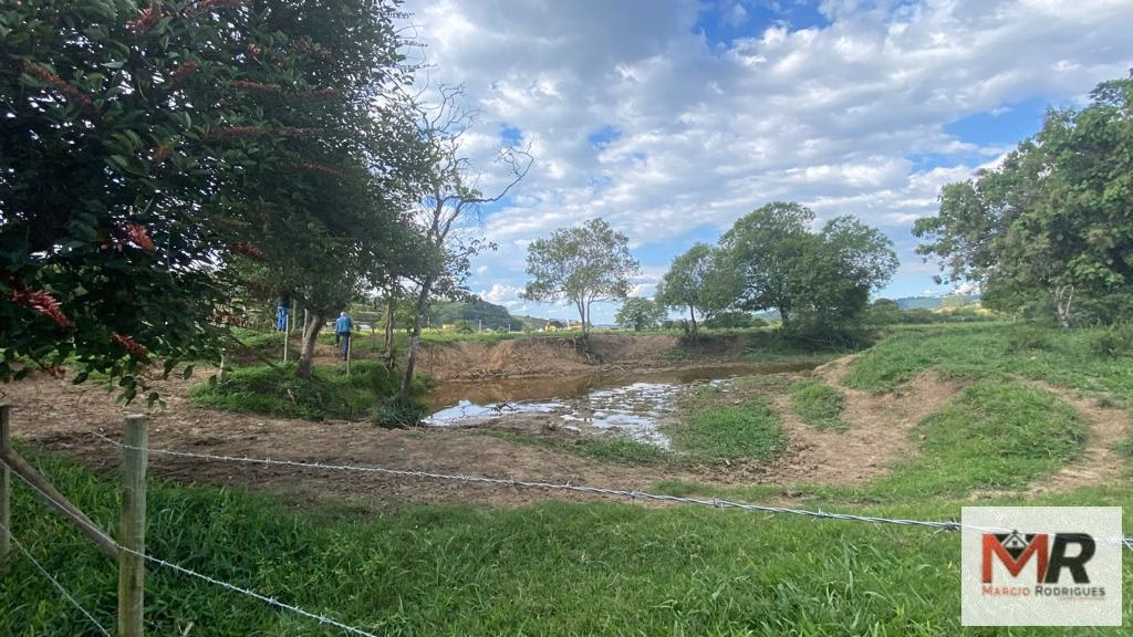 Farm of 299 acres in Cambuí, MG, Brazil