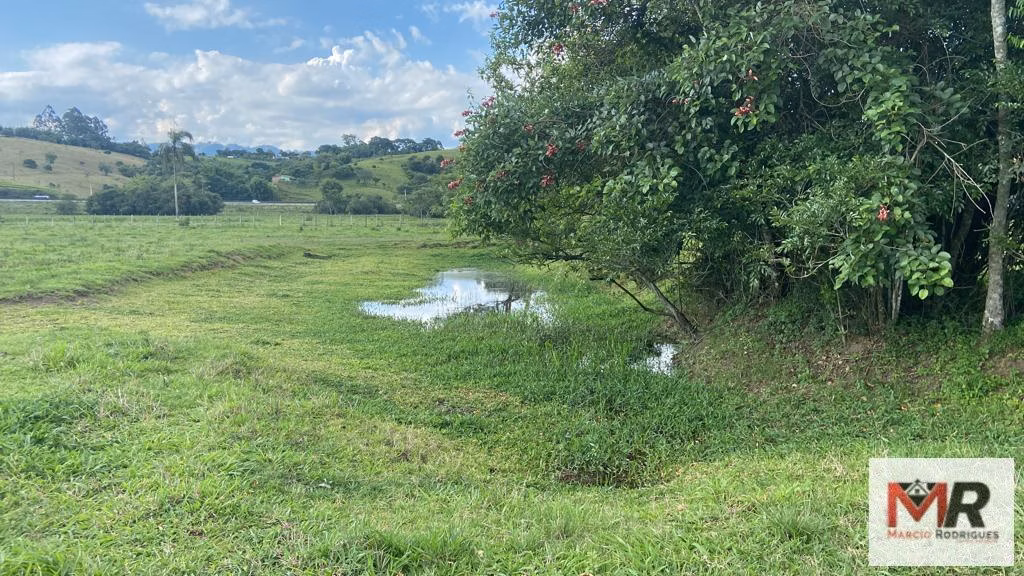 Fazenda de 121 ha em Cambuí, MG