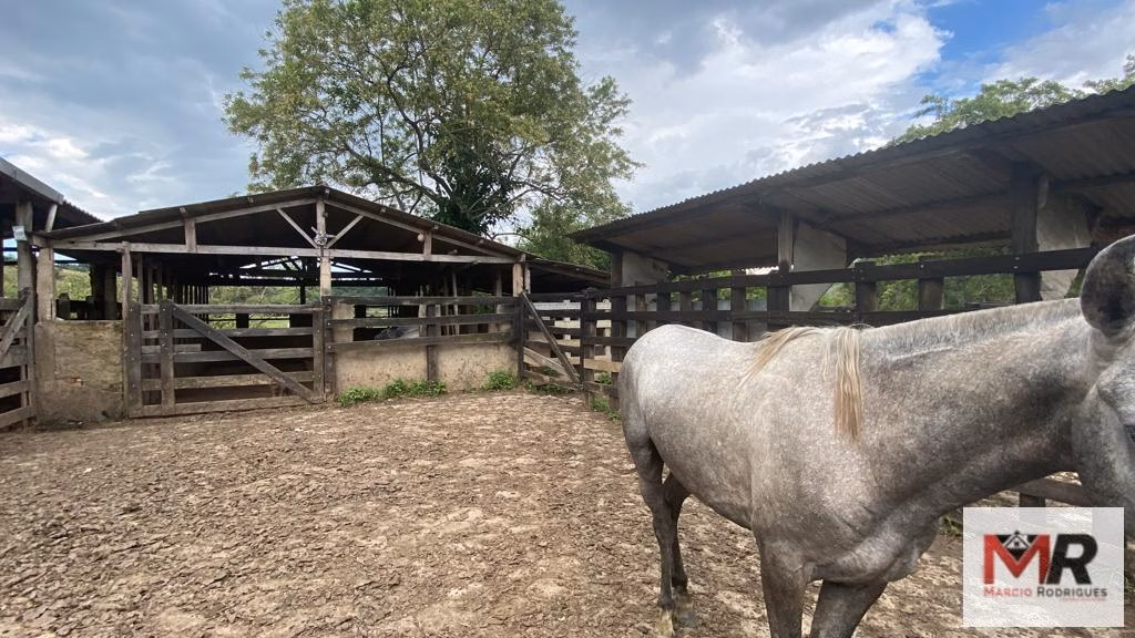 Fazenda de 121 ha em Cambuí, MG