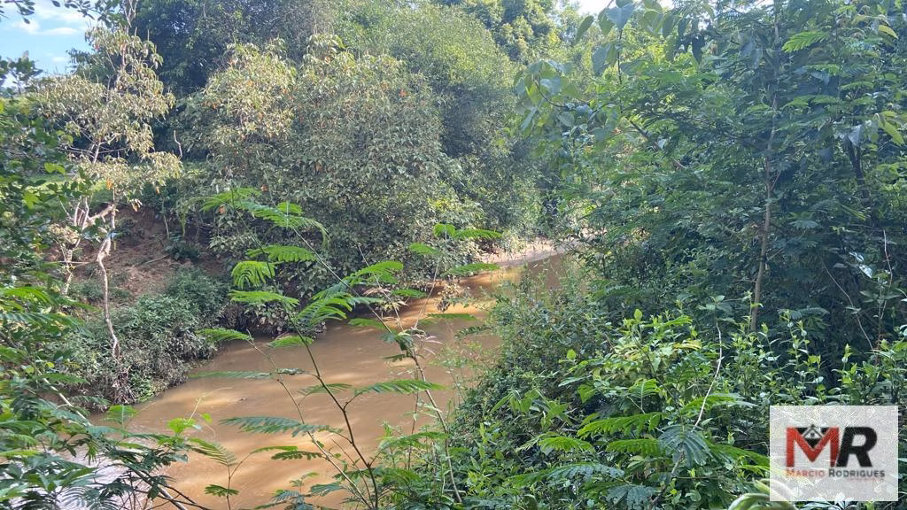 Fazenda de 121 ha em Cambuí, MG