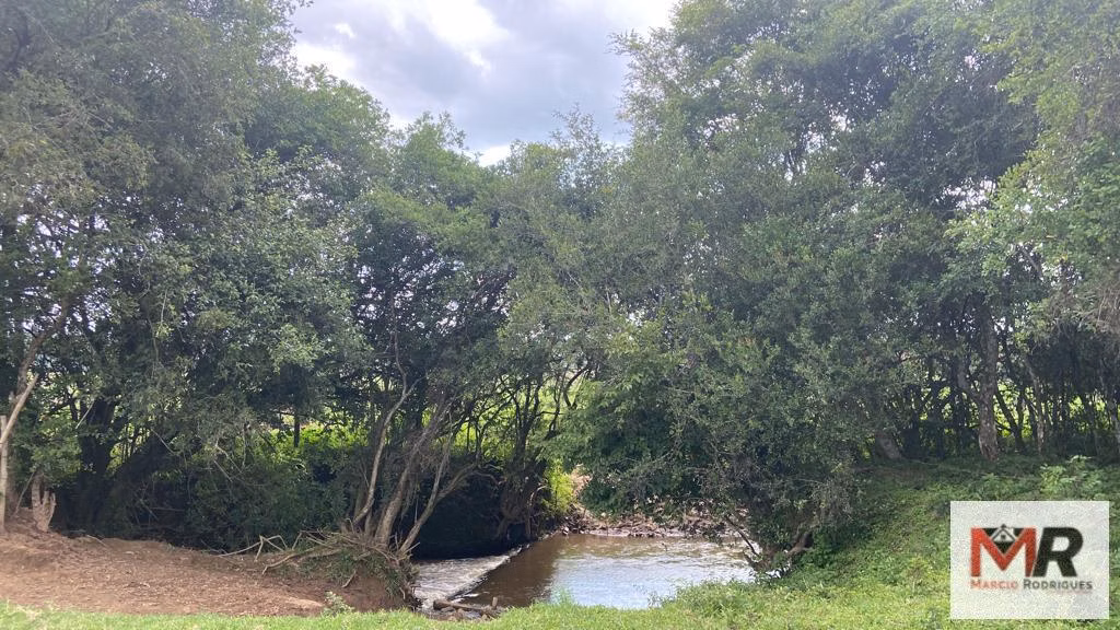 Fazenda de 121 ha em Cambuí, MG