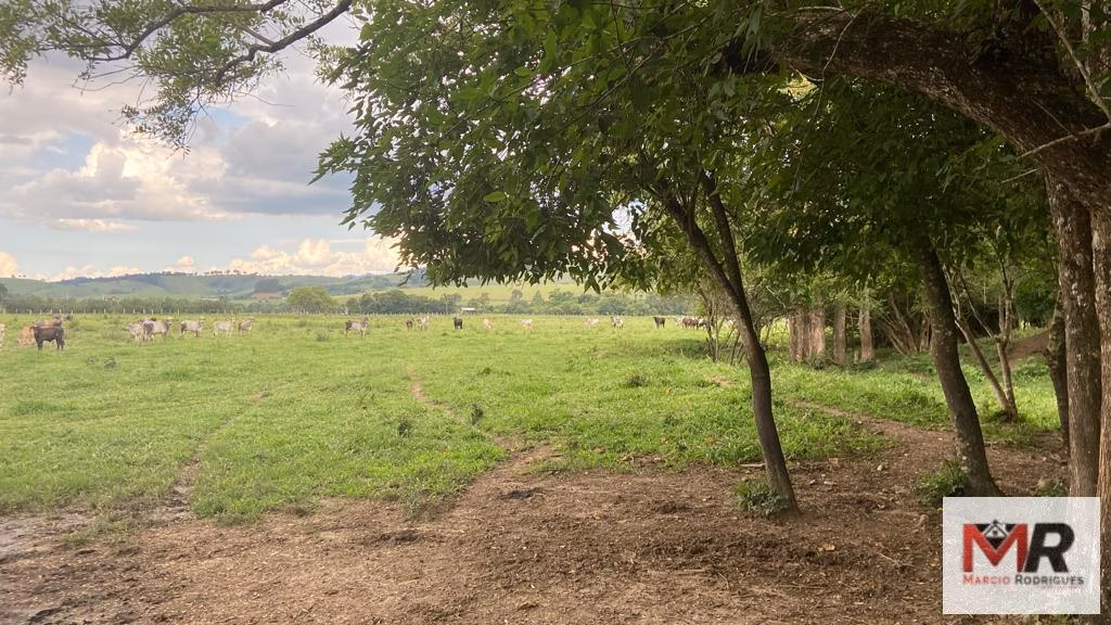 Farm of 299 acres in Cambuí, MG, Brazil
