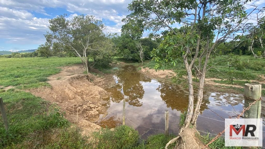 Farm of 299 acres in Cambuí, MG, Brazil