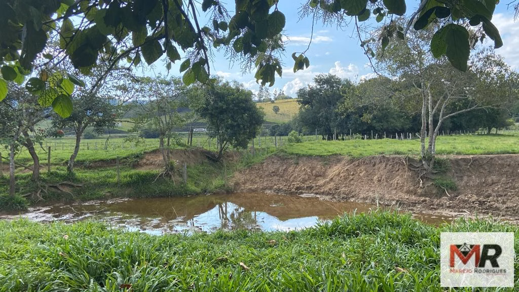 Fazenda de 121 ha em Cambuí, MG