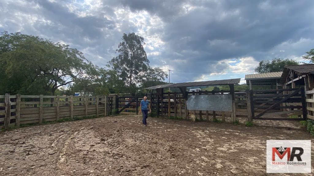 Farm of 299 acres in Cambuí, MG, Brazil