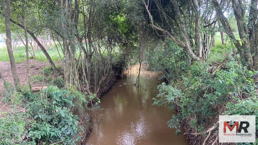 Fazenda de 121 ha em Cambuí, MG