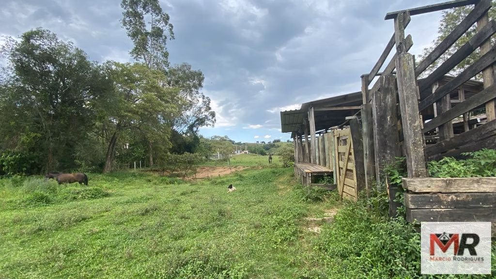 Farm of 299 acres in Cambuí, MG, Brazil