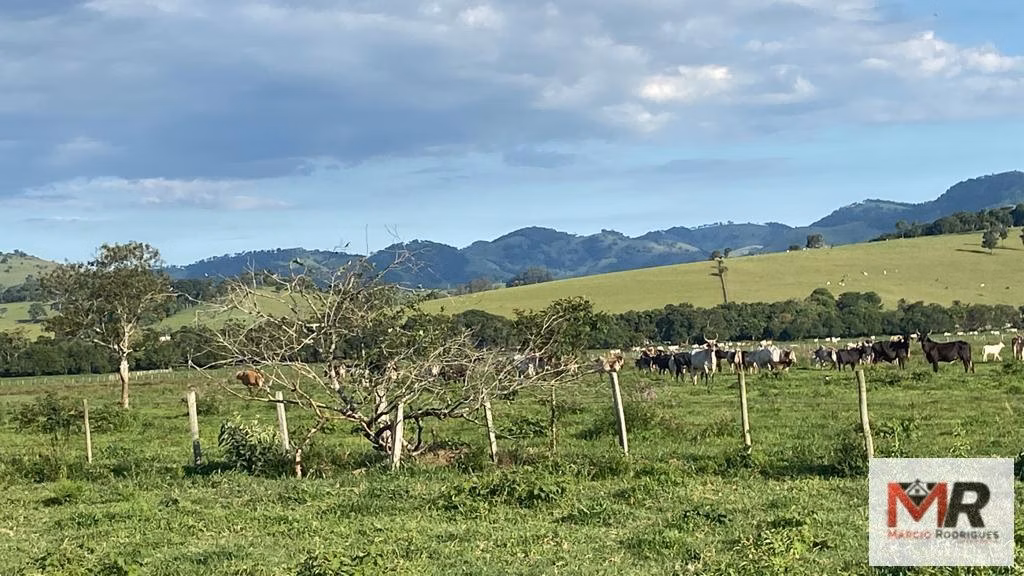 Fazenda de 121 ha em Cambuí, MG