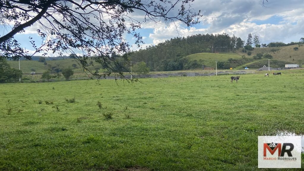 Farm of 299 acres in Cambuí, MG, Brazil