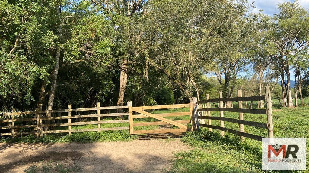 Fazenda de 121 ha em Cambuí, MG