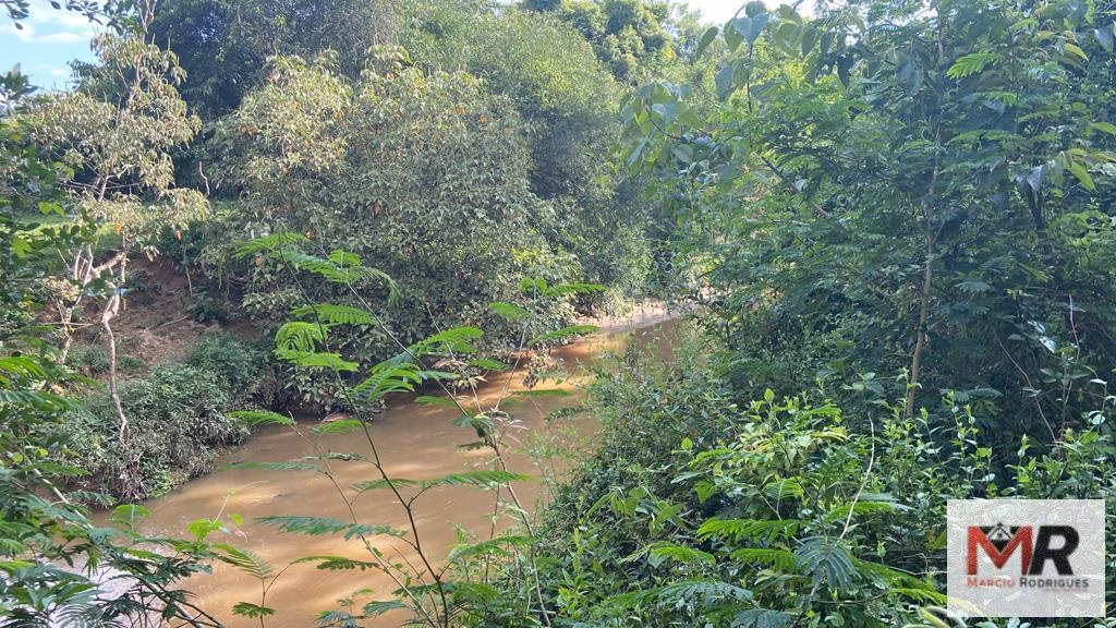 Fazenda de 121 ha em Cambuí, MG
