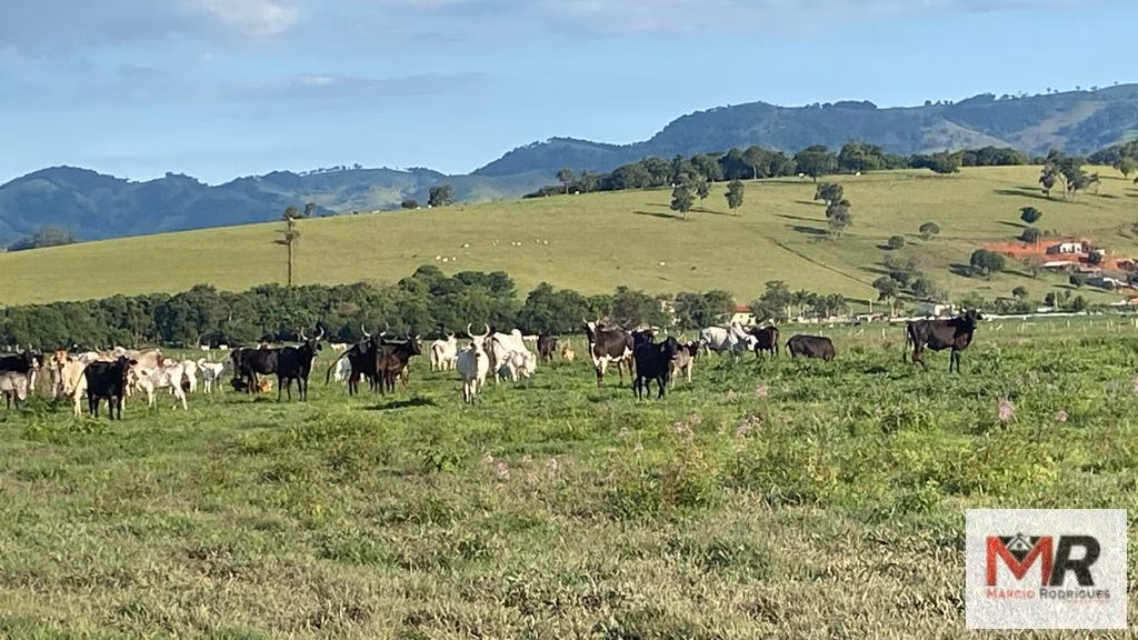 Fazenda de 121 ha em Cambuí, MG