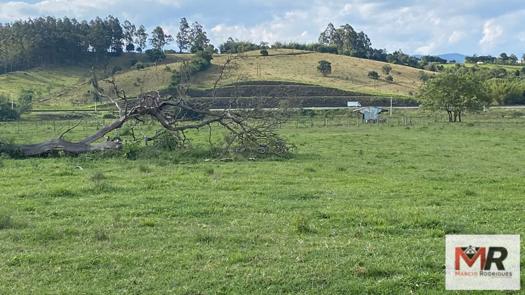 Farm of 299 acres in Cambuí, MG, Brazil