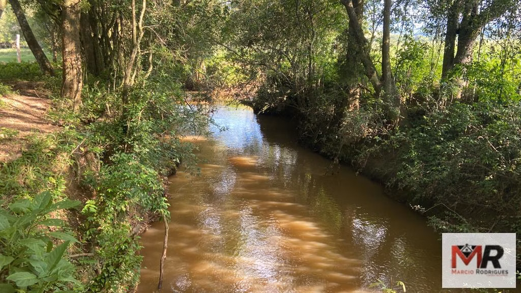 Fazenda de 121 ha em Cambuí, MG
