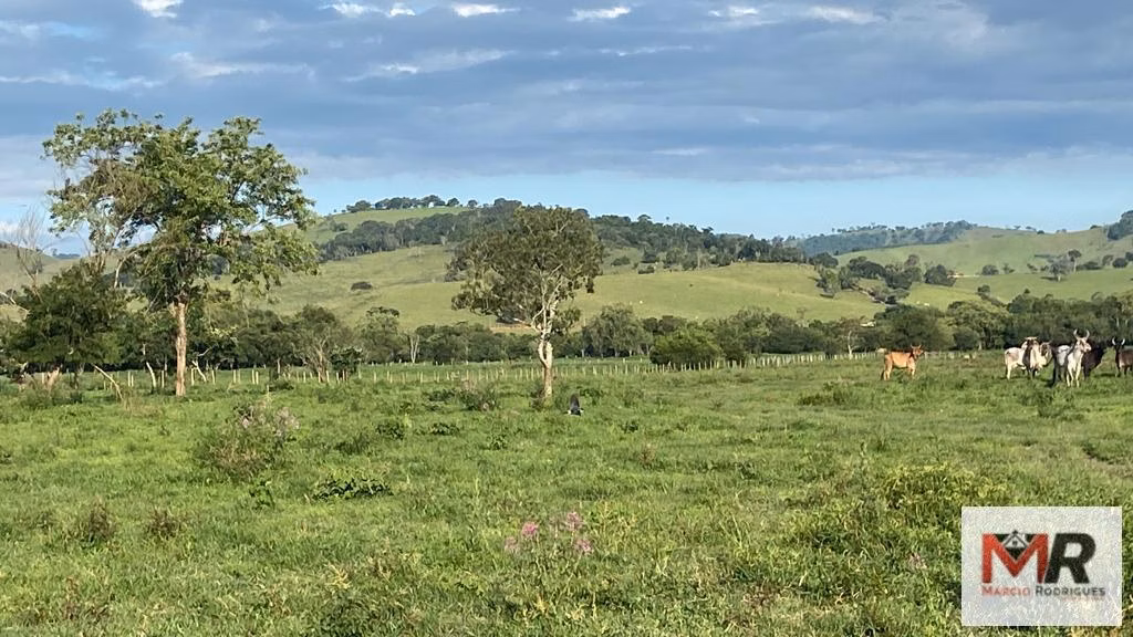 Farm of 299 acres in Cambuí, MG, Brazil
