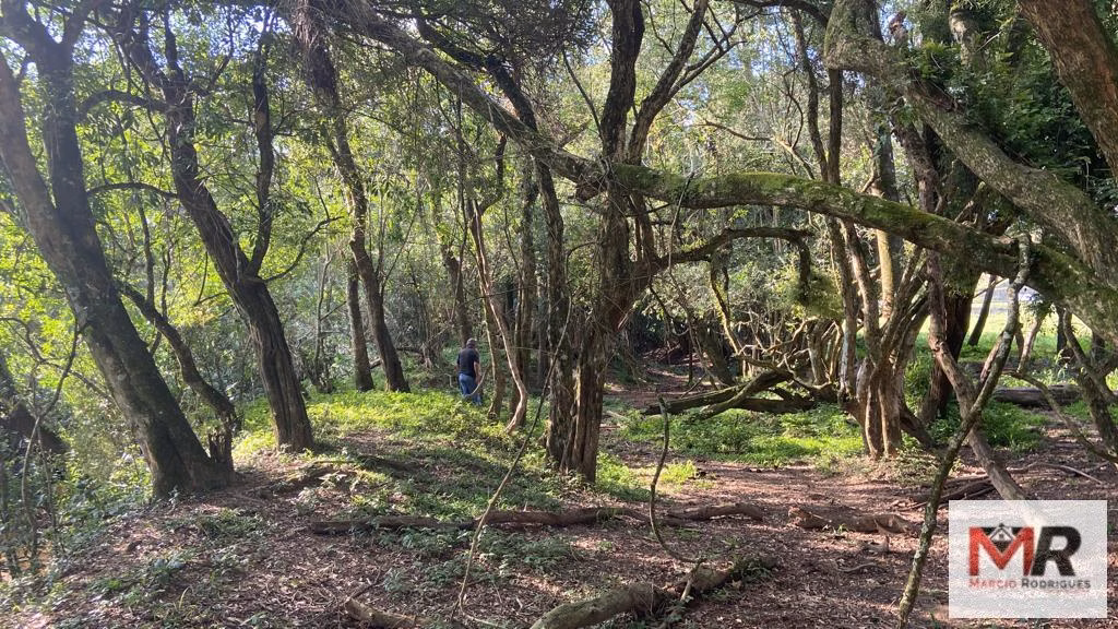 Fazenda de 121 ha em Cambuí, MG