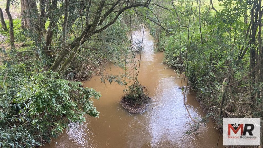 Farm of 299 acres in Cambuí, MG, Brazil