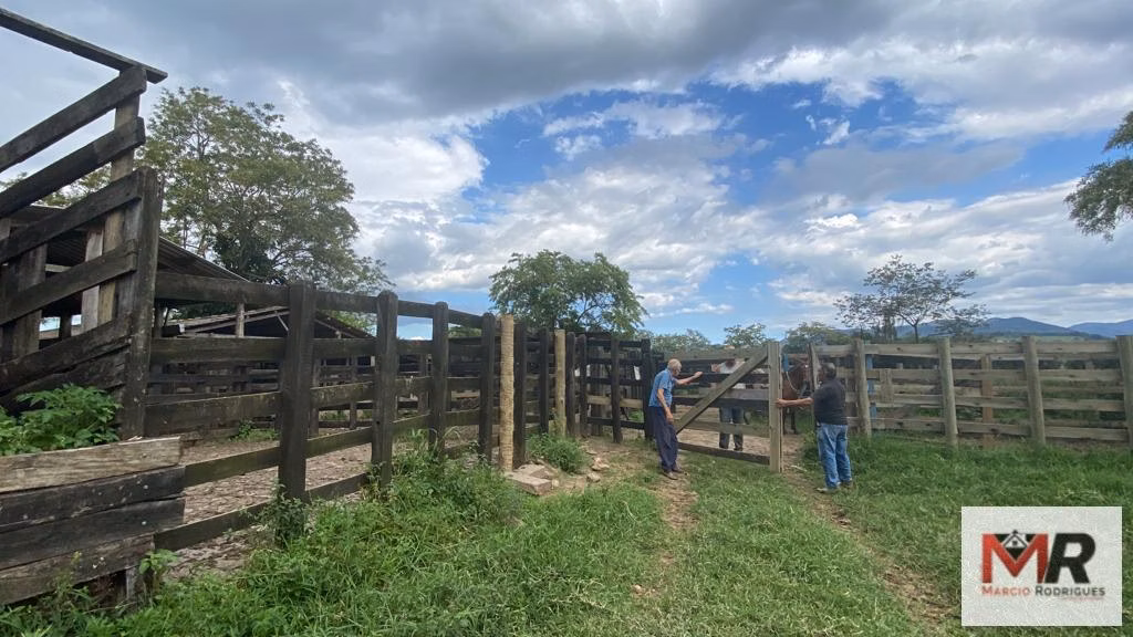 Fazenda de 121 ha em Cambuí, MG
