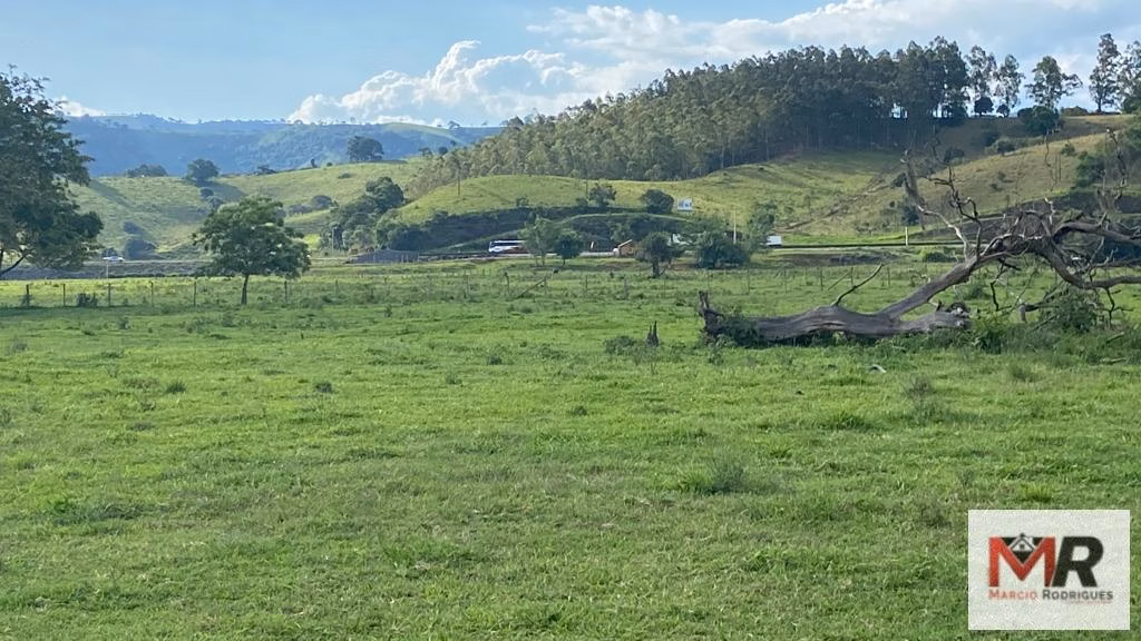 Fazenda de 121 ha em Cambuí, MG