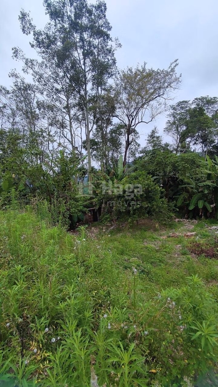 Farm of 6 acres in São João Batista, SC, Brazil