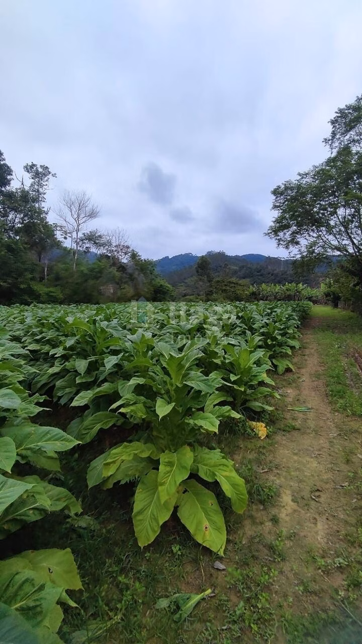 Farm of 6 acres in São João Batista, SC, Brazil