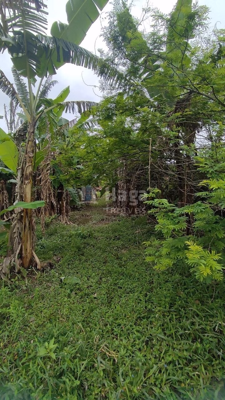 Farm of 6 acres in São João Batista, SC, Brazil