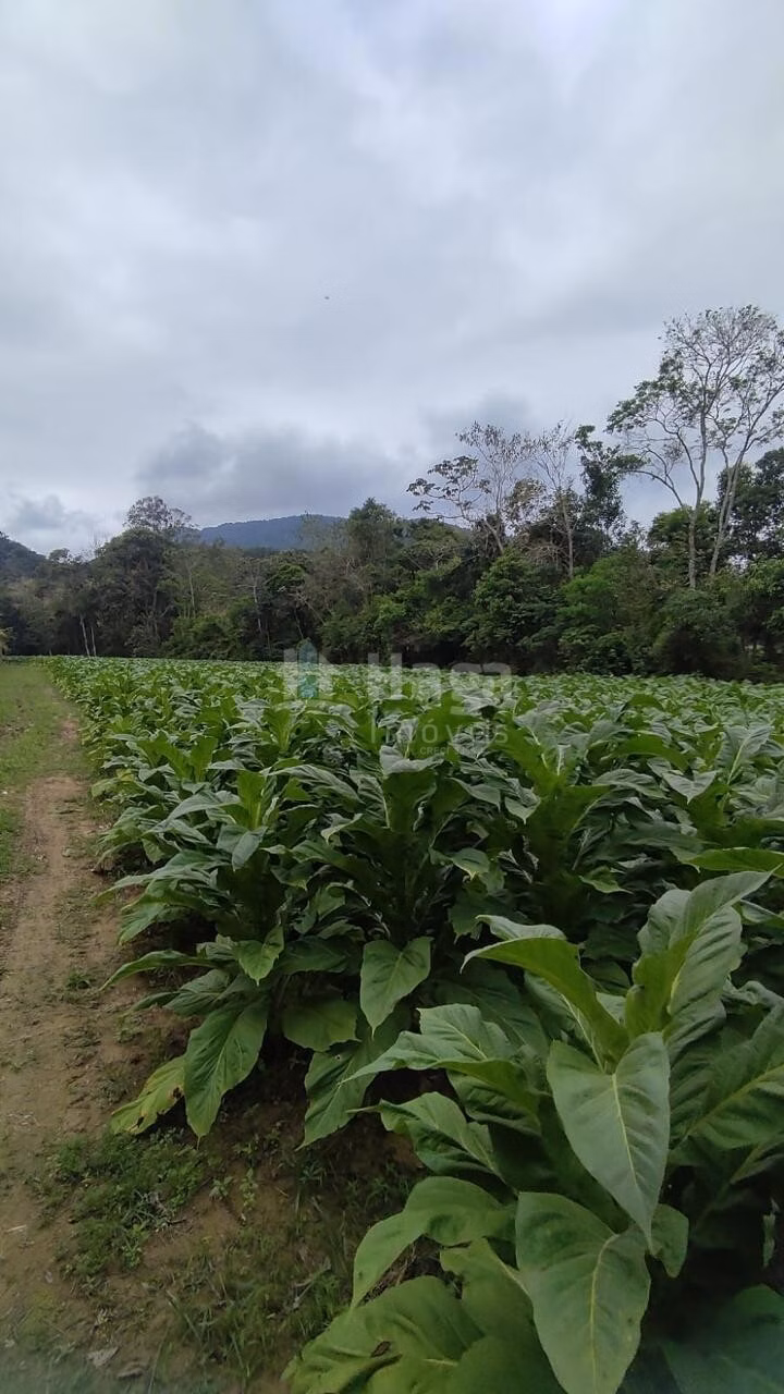 Farm of 6 acres in São João Batista, SC, Brazil