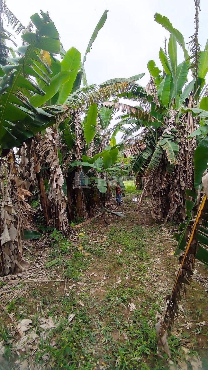 Farm of 6 acres in São João Batista, SC, Brazil