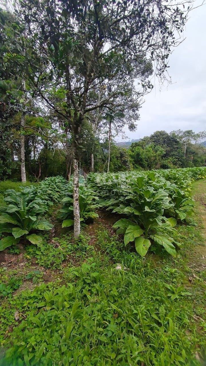 Farm of 6 acres in São João Batista, SC, Brazil