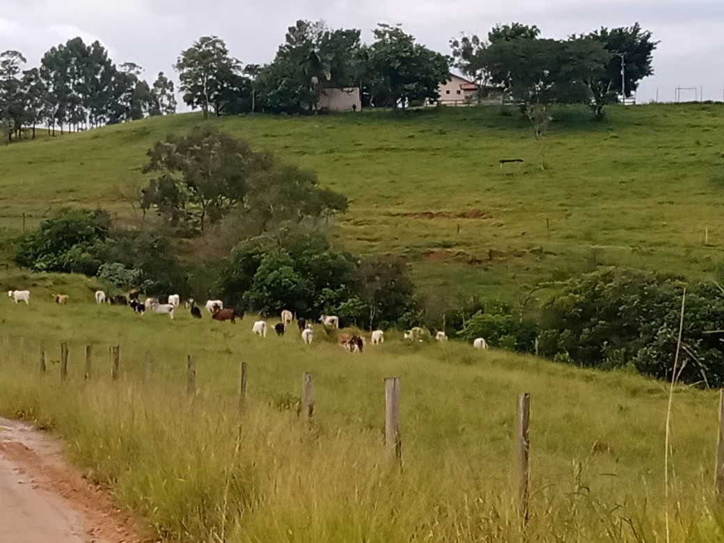 Small farm of 150 acres in Capão Bonito, SP, Brazil