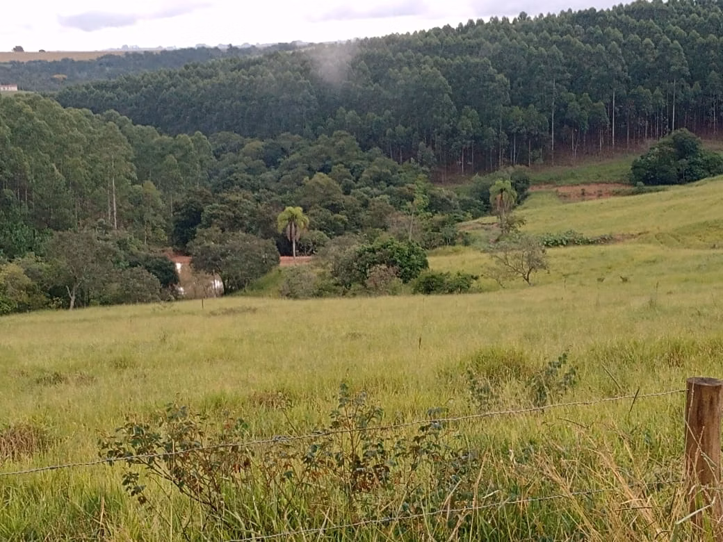 Small farm of 150 acres in Capão Bonito, SP, Brazil