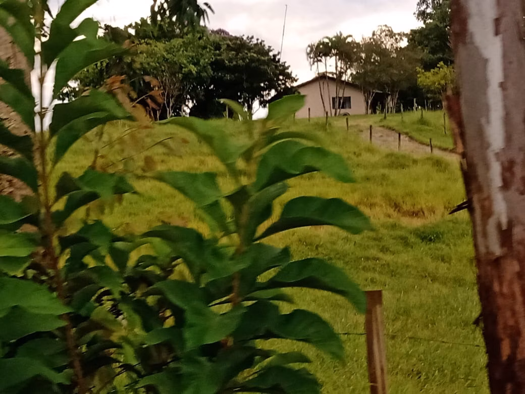 Sítio de 61 ha em Capão Bonito, SP