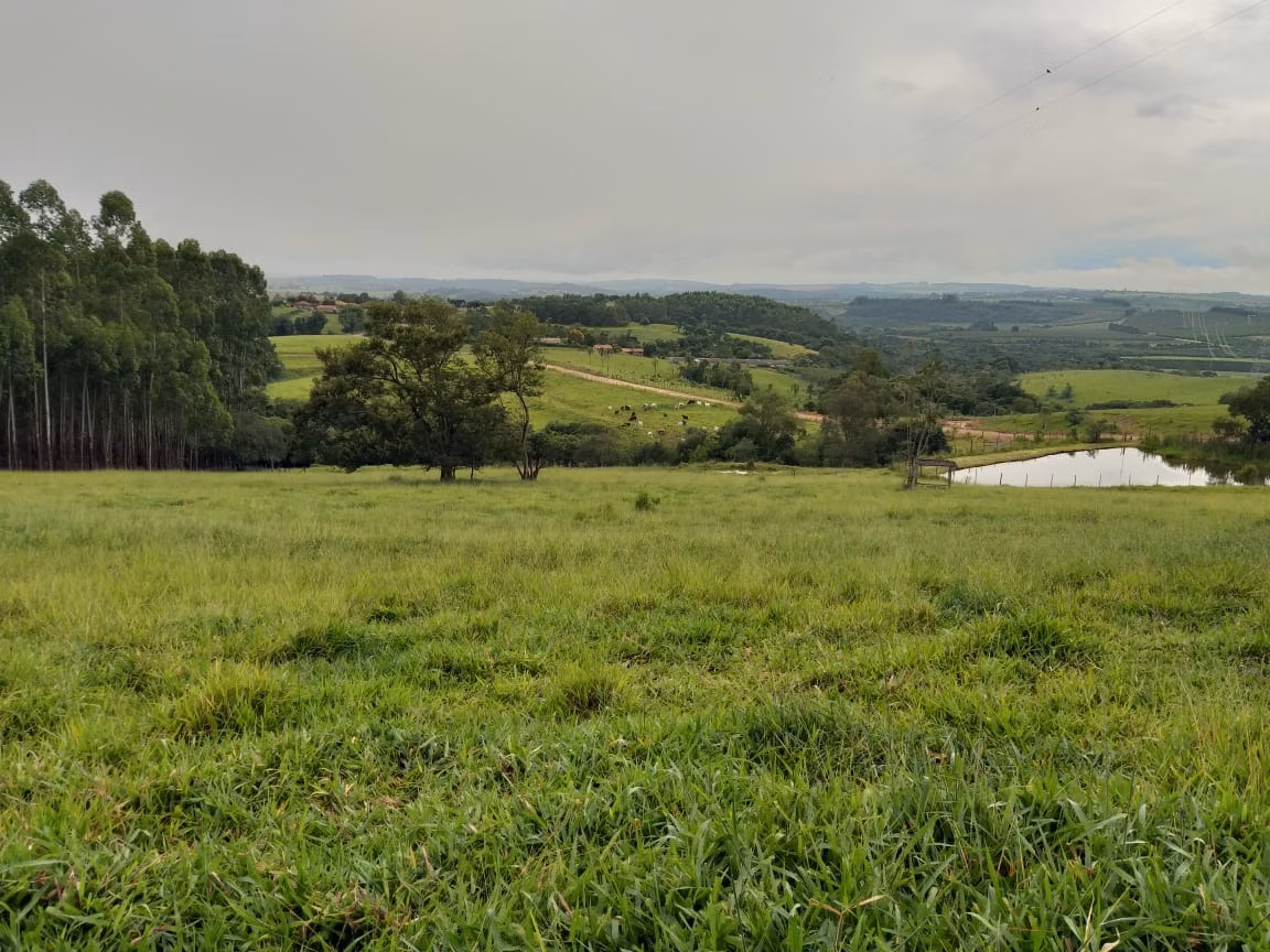 Small farm of 150 acres in Capão Bonito, SP, Brazil