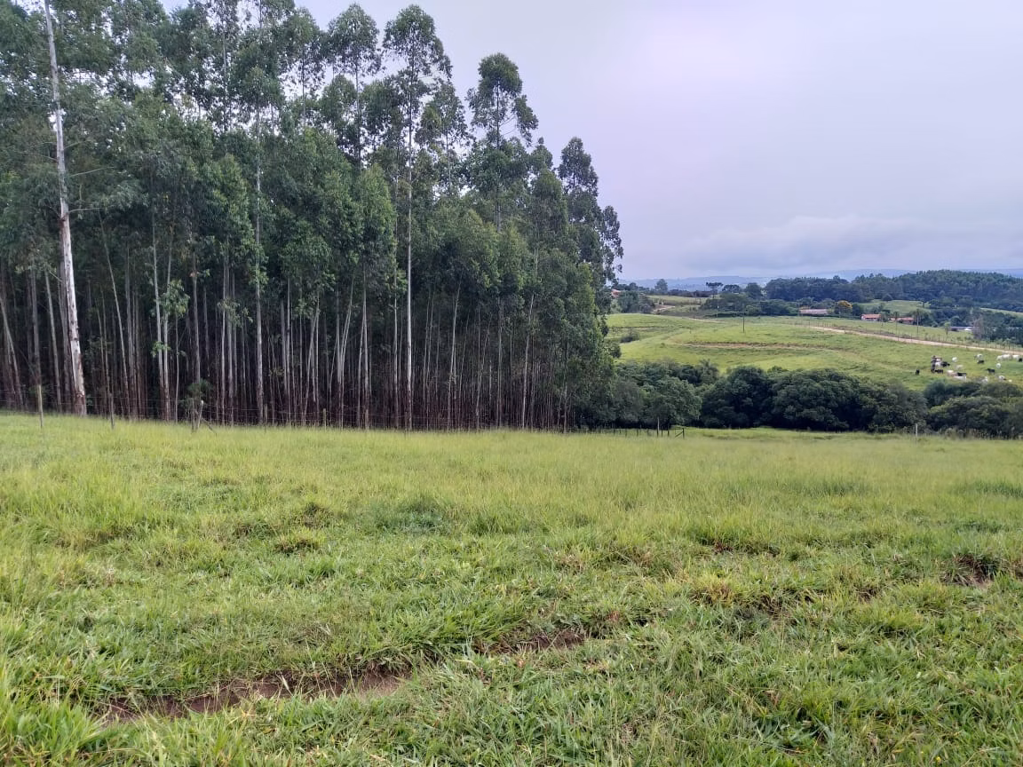 Sítio de 61 ha em Capão Bonito, SP