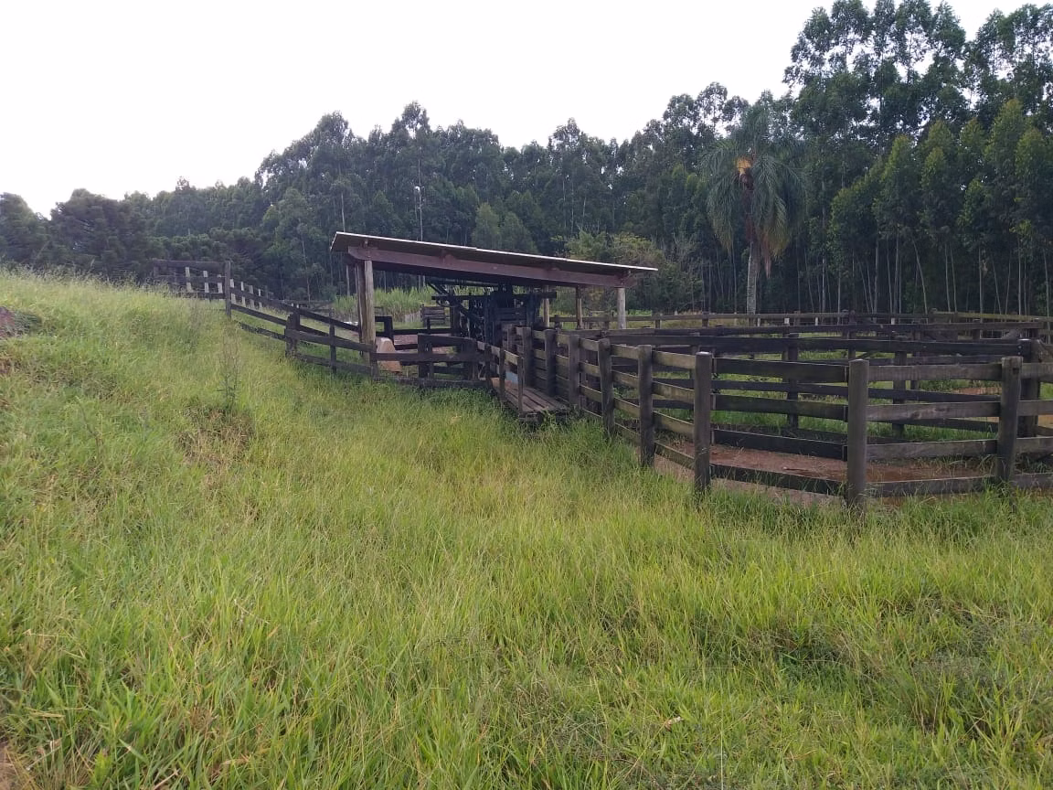 Small farm of 150 acres in Capão Bonito, SP, Brazil