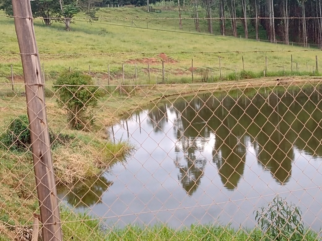 Small farm of 150 acres in Capão Bonito, SP, Brazil