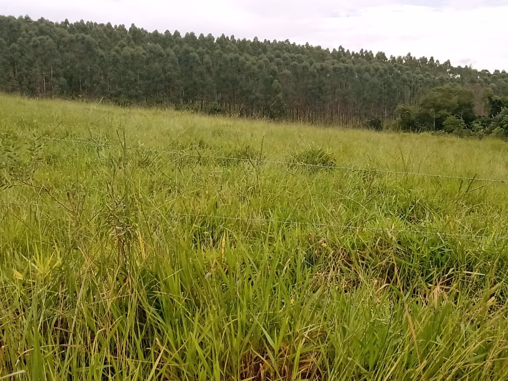 Sítio de 61 ha em Capão Bonito, SP